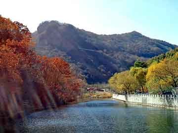 管家婆黑白马报图库，男式鸭舌帽